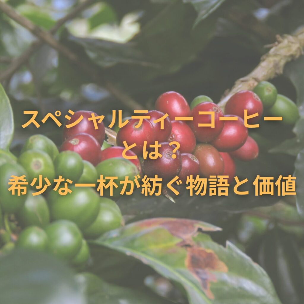 コーヒー生豆のブログ表紙