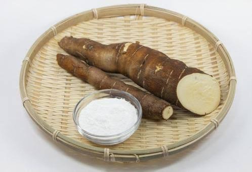 南米で主食として親しまれているマンジョカ粉の原料となるキャッサバ芋