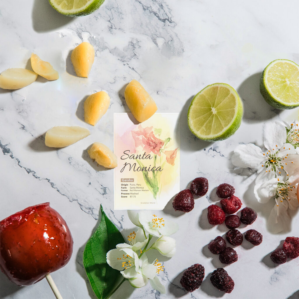 ペルー産 ゲイシャ種 ラソシエダ コーヒー スペシャルティコーヒー